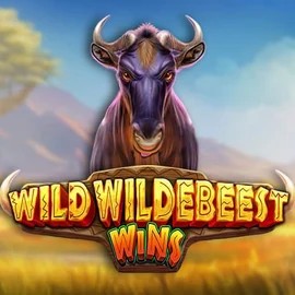 Wild Wildebeest Wins – slot by Pragmatic Play, featured at keasportsclub.com